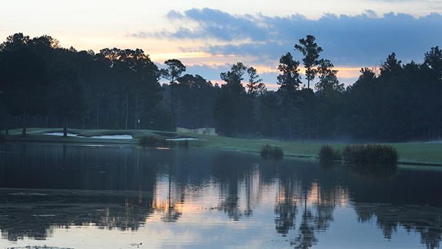 PXG Image